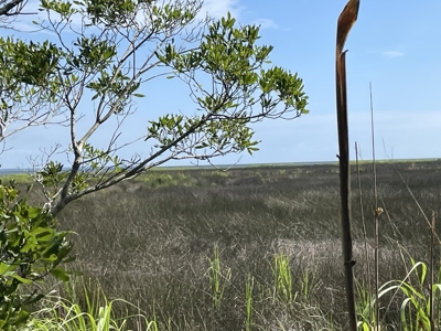 Waterfront Lot for Sale Beaufort NC - image 20