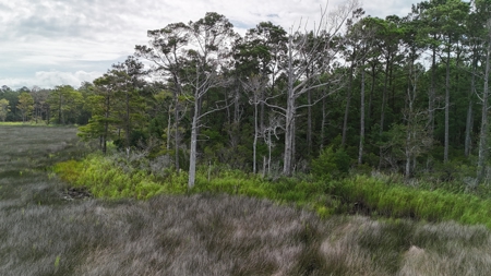 Waterfront Lot for Sale Beaufort NC - image 14
