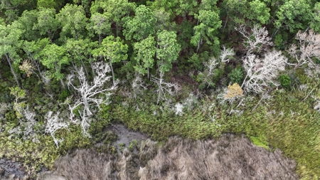 Waterfront Lot for Sale Beaufort NC - image 15