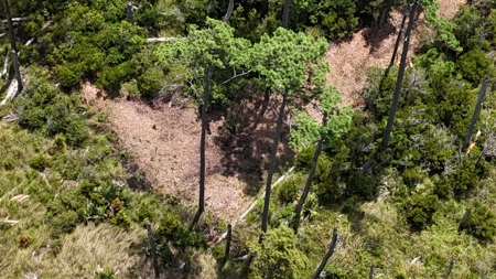 Waterfront Homesite for Sale Beaufort, NC - image 12