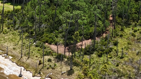 Waterfront Homesite for Sale Beaufort, NC - image 11