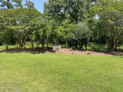 Waterfront Homesite for Sale Beaufort, NC - image 44