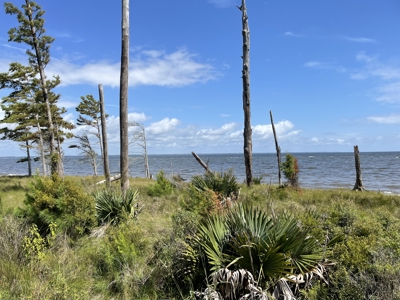 Waterfront Homesite for Sale Beaufort, NC - image 24