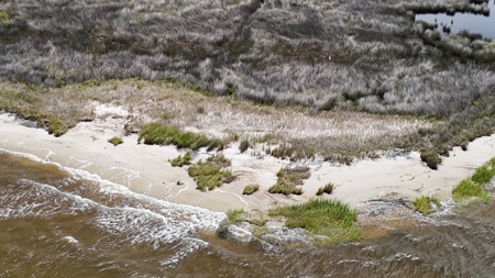 Waterfront Homesite for Sale Beaufort, NC - image 8