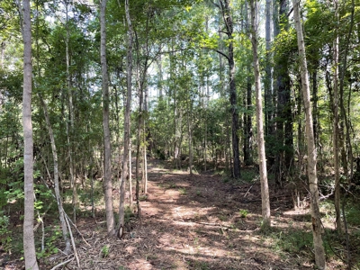 Waterfront Homesite for Sale Beaufort, NC - image 19