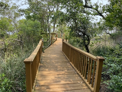 Waterfront Homesite for Sale Beaufort, NC - image 35