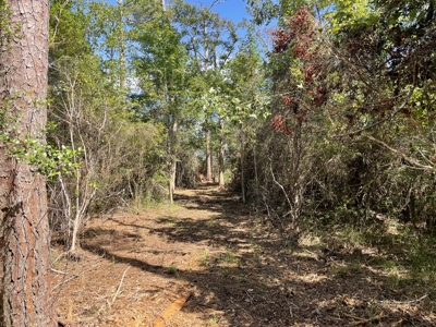 Waterfront Homesite for Sale Beaufort, NC - image 21