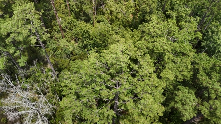 Waterfront Homesite for Sale Beaufort, NC - image 4