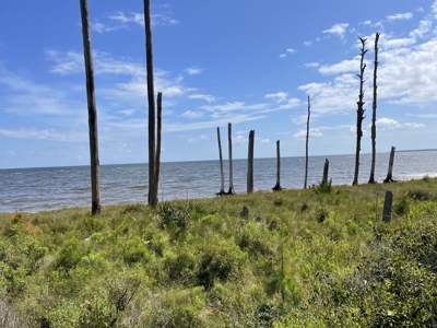 Waterfront Homesite for Sale Beaufort, NC - image 23