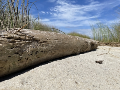 Waterfront Homesite for Sale Beaufort, NC - image 31