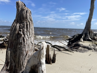 Waterfront Homesite for Sale Beaufort, NC - image 1