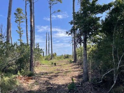 Waterfront Homesite for Sale Beaufort, NC - image 22