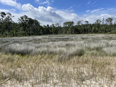 Waterfront Homesite for Sale Beaufort, NC - image 29