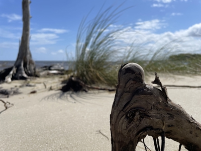 Waterfront Homesite for Sale Beaufort, NC - image 32