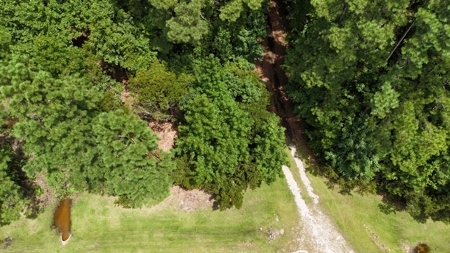 Waterfront Homesite for Sale Beaufort, NC - image 2