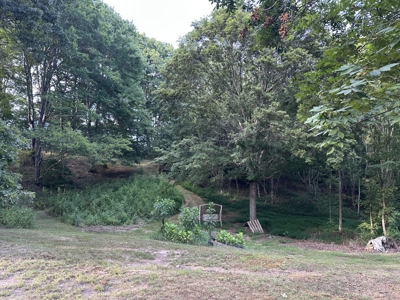 Country Home for Sale in Lewis County, Tennessee - image 30