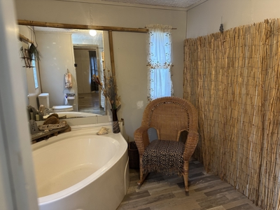 Country Home for Sale in Lewis County, Tennessee - image 14