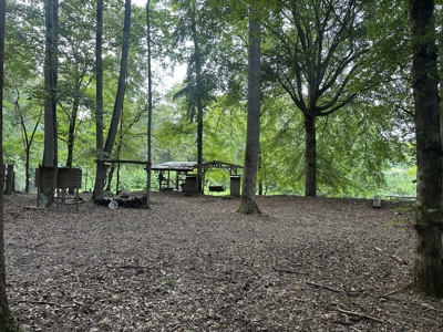 Country Home for Sale in Lewis County, Tennessee - image 33