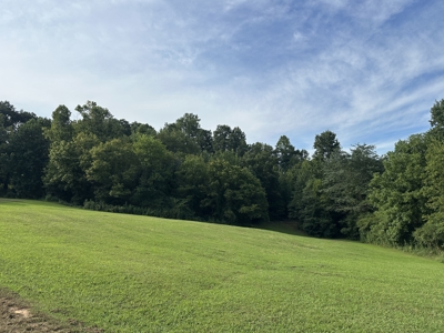 Country Home for Sale in Lewis County, Tennessee - image 29