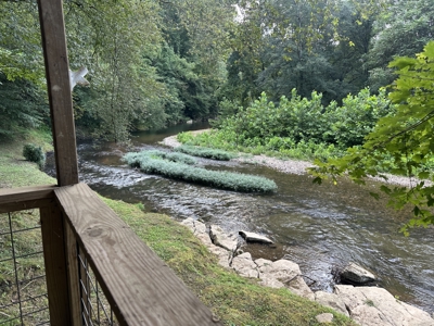 Country Home for Sale in Lewis County, Tennessee - image 36