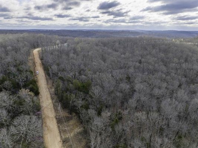 Hardy, Arkansas Ozark Land For Sale - image 6
