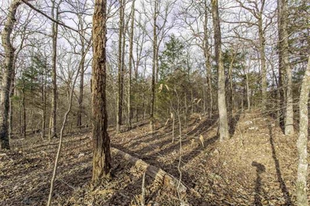 Hardy, Arkansas Ozark Land For Sale - image 1