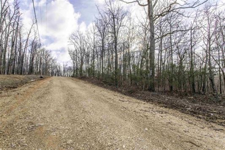 Hardy, Arkansas Ozark Land For Sale - image 7