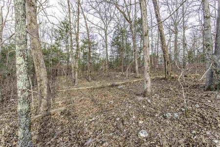 Hardy, Arkansas Ozark Land For Sale - image 8