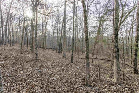 Hardy, Arkansas Ozark Land For Sale - image 5