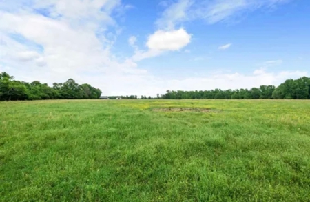 Country and Ranch living at its Finest! - image 1