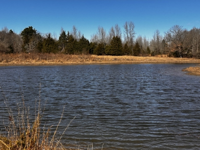 Country and Ranch living at its Finest! - image 29