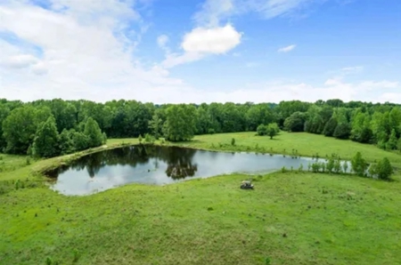 Country and Ranch living at its Finest! - image 2