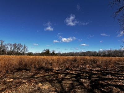 Country and Ranch living at its Finest! - image 32
