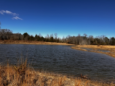 Country and Ranch living at its Finest! - image 30