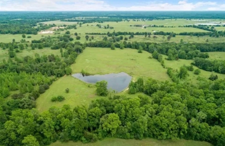 Country and Ranch living at its Finest! - image 4
