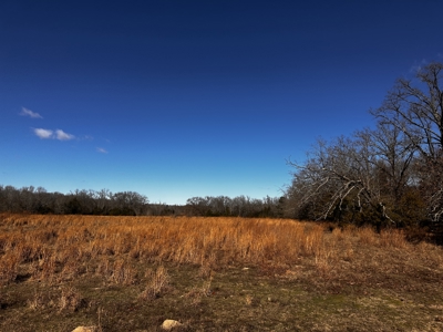 Country and Ranch living at its Finest! - image 31
