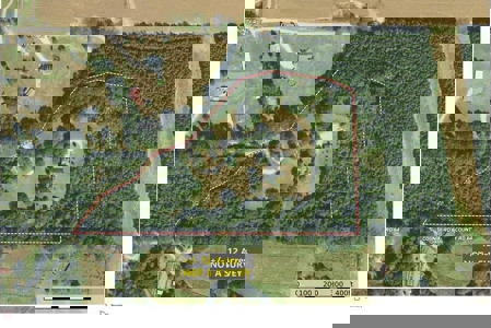 Country Home with Land and Timber for Sale in North Mississippi - image 5