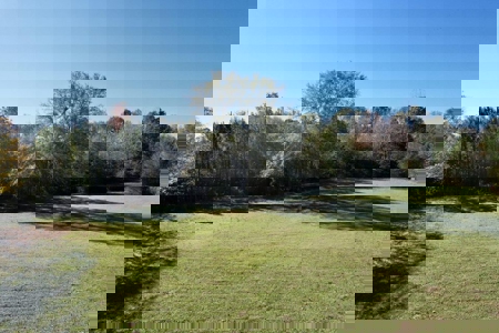 Country Home with Land and Timber for Sale in North Mississippi - image 44