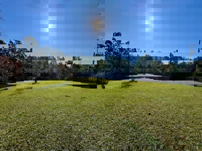 Country Home with Land and Timber for Sale in North Mississippi - image 46