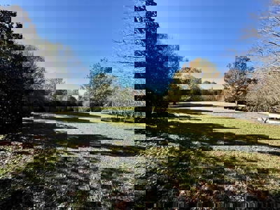 Country Home with Land and Timber for Sale in North Mississippi - image 45