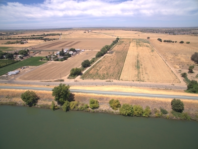 Farm Land in West Sacramento, Yolo County for Sale - image 3