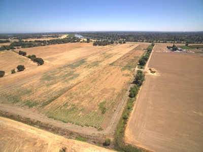 Farm Land in West Sacramento, Yolo County for Sale - image 7