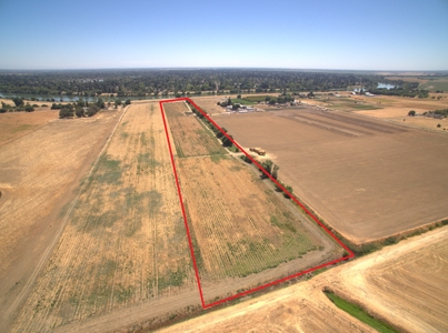 Farm Land in West Sacramento, Yolo County for Sale - image 1