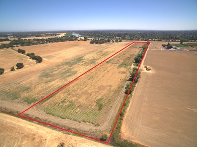 Farm Land in West Sacramento, Yolo County for Sale - image 2