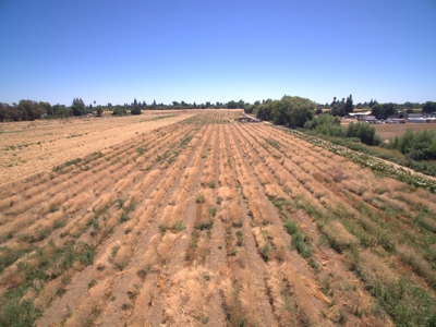 Farm Land in West Sacramento, Yolo County for Sale - image 10