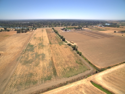 Farm Land in West Sacramento, Yolo County for Sale - image 9