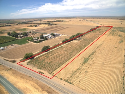 Farm Land in West Sacramento, Yolo County for Sale - image 4
