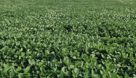 Income Producing Farm in Osage County Kansas - image 1