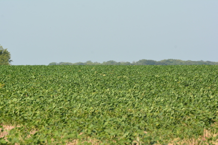 Income Producing Farm in Osage County Kansas - image 21