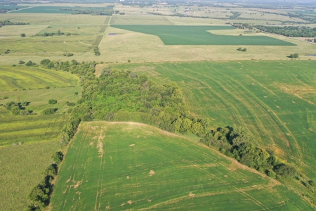 Income Producing Farm in Osage County Kansas - image 2
